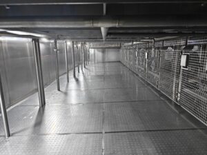 GyraFlex freezing tunnel French Fries