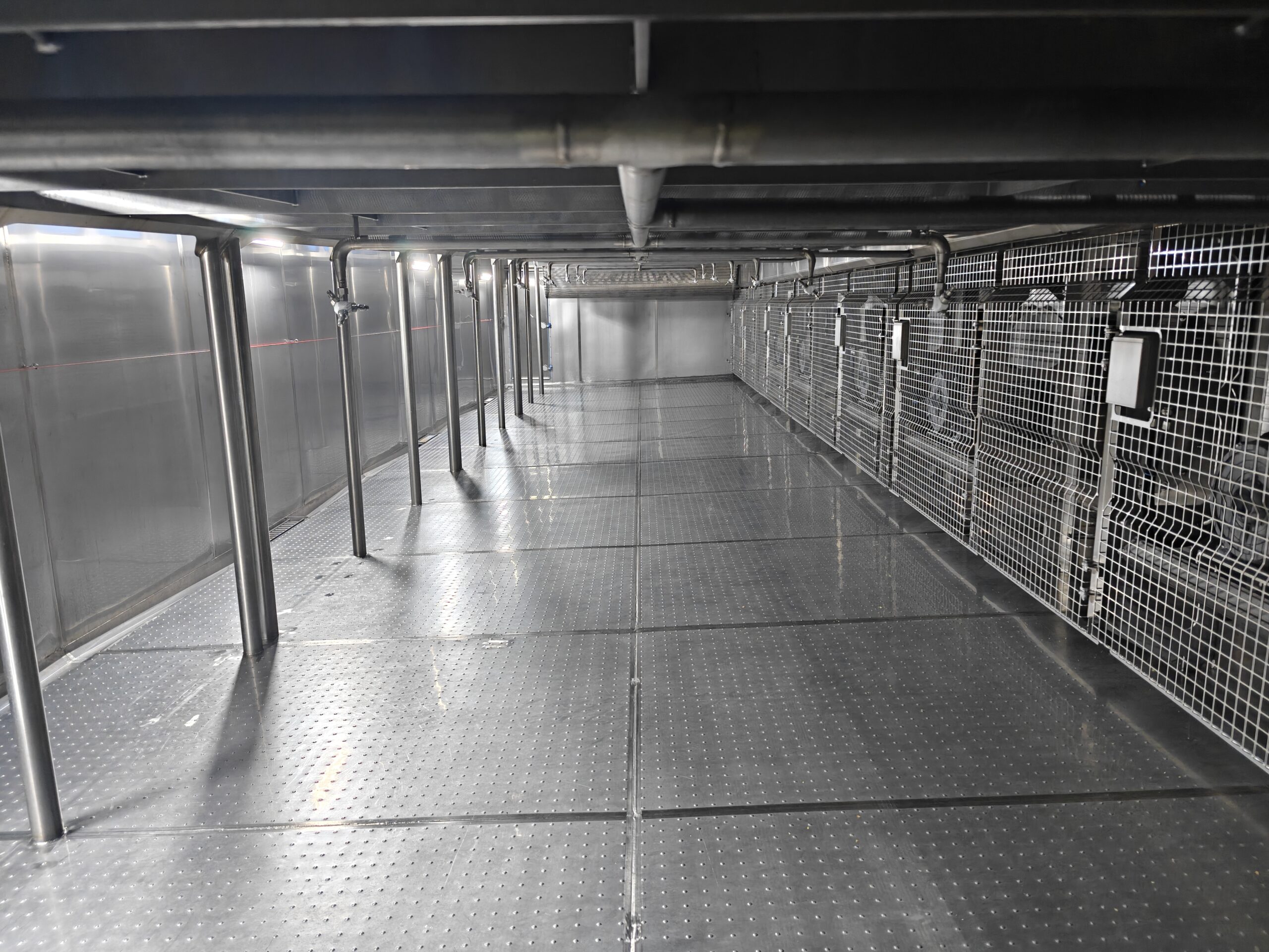 GyraFlex freezing tunnel French Fries